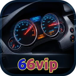66vip
